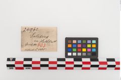 Etiketten zu Bronzemehrkopfnadel (NHMW-PRAE-024965)